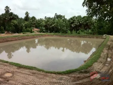 Lote/Terreno à venda, 75221m² no Juçara, São Luís
