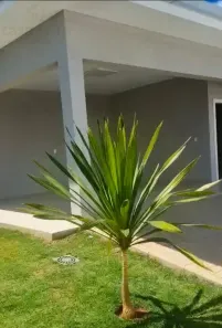 Casa com 3 Quartos à venda, 146m² no Vale dos Sonhos, Lagoa Santa