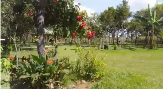 Fazenda/Sítio com 1 Quarto à venda, 95m² no , Chapada dos Guimarães