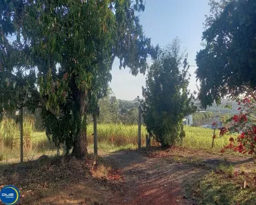 Fazenda/Sítio com 3 Quartos à venda, 200m² no Cardeal, Elias Fausto