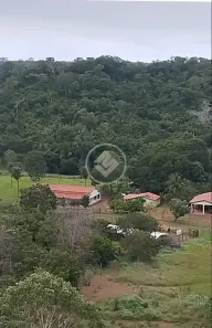Fazenda/Sítio com 3 Quartos à venda, 437m² no Centro, Porto Nacional