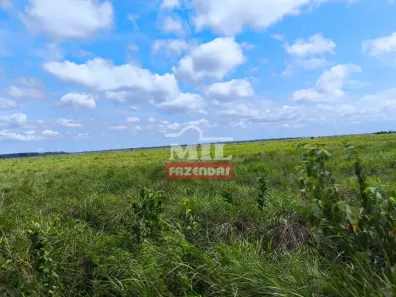 Fazenda/Sítio à venda, 500m² no , Santana do Araguaia
