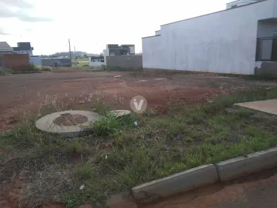 Lote/Terreno à venda, 338m² no Pinheiro Machado, Santa Maria