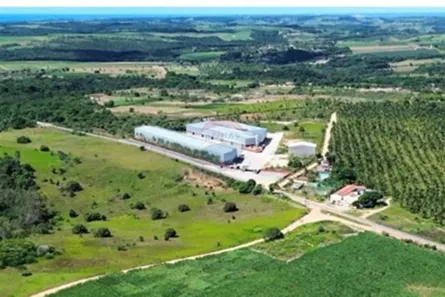 Galpão/Depósito/Armazém para alugar, 8100m² no Cidade Balneária Novo Mundo I, Conde