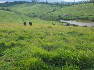 Fazenda/Sítio com 1 Quarto à venda, 4114000m² no , Jacutinga