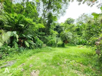 Fazenda/Sítio com 3 Quartos à venda, 164347m² no Engenho do Mato, Niterói