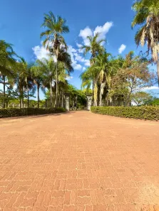 Fazenda/Sítio com 3 Quartos à venda, 116160m² no Centro, Nipoã
