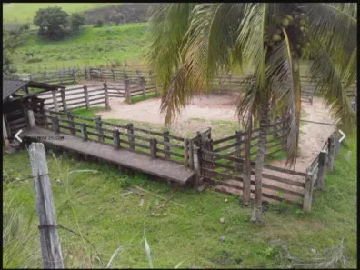Fazenda/Sítio à venda, 871200m² no Ajuda de Cima, Macaé