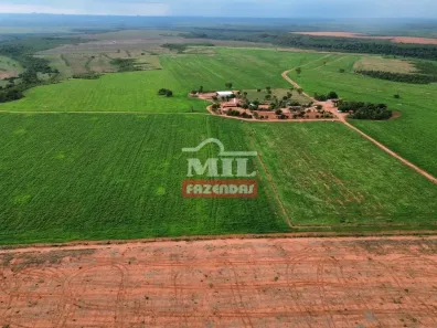 Fazenda/Sítio à venda, 500m² no Setor Central, Ponte Alta do Tocantins
