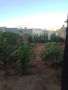Lote/Terreno à venda, 250m² no Parque Residencial Aeroporto, Limeira