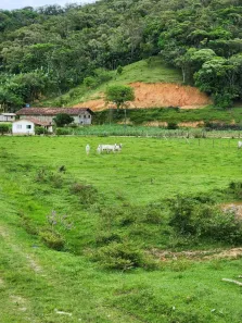 Lote/Terreno à venda, 24000m² no Área Rural de Biguaçu, Biguaçu