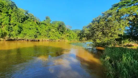 Lote/Terreno à venda, 1600m² no Monte Verde, Juiz de Fora