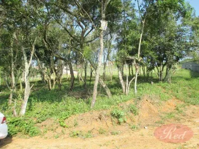 Lote/Terreno à venda, 36155m² no Vila São Pedro, Suzano