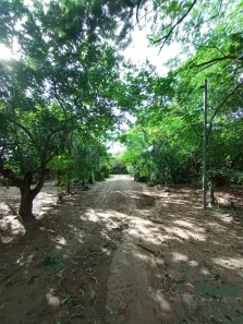 Lote/Terreno à venda, 1029m² no Nova Esperança, Cuiabá