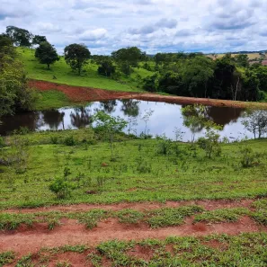 Fazenda/Sítio à venda, 242000m² no Setor Central, Aragoiânia