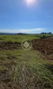 Fazenda/Sítio à venda, 968000m² no Centro, Anápolis