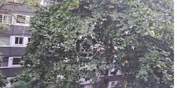 Apartamento com 3 Quartos à venda, 93m² no Leblon, Rio de Janeiro