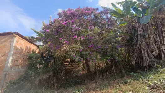 Lote/Terreno à venda, 360m² no A Definir, Igarapé