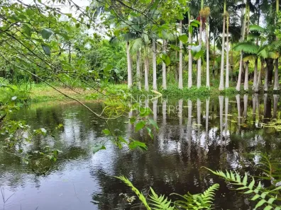 Fazenda/Sítio com 3 Quartos à venda, 250m² no Zona Rural, Balneário Barra do Sul