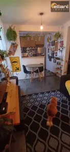 Apartamento com 2 Quartos à venda, 51m² no Parque Residencial Casa Branca, Suzano