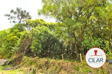Lote/Terreno à venda, 7000m² no Lamenha Grande, Almirante Tamandaré
