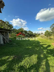 Fazenda/Sítio com 3 Quartos à venda, 100m² no Centro, Nova Veneza