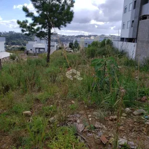 Lote/Terreno à venda, 372m² no De Zorzi, Caxias do Sul