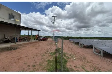 com 1 Quarto à venda, 700000m² no , Pureza