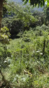 Lote/Terreno à venda, 1050m² no Araras, Petrópolis