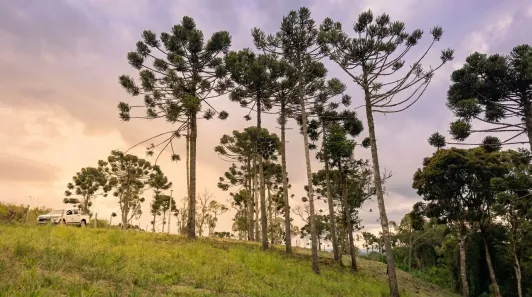 Fazenda/Sítio à venda, 23397m² no Águas Brancas, Urubici