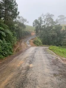 Fazenda/Sítio à venda, 25000m² no Serra Alta, São Bento do Sul