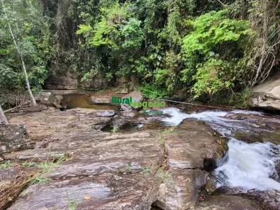 Fazenda/Sítio à venda, 78000m² no Ribeirão Grande, Pindamonhangaba
