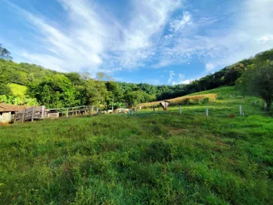 Fazenda/Sítio com 2 Quartos à venda, 242000m² no , Catanduvas