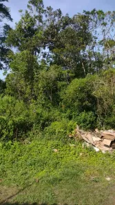 Lote/Terreno à venda, 250m² no Chácara Glória, Itanhaém