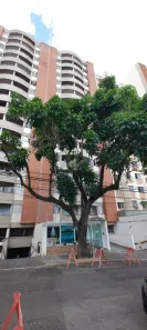 Apartamento com 1 Quarto para alugar, 51m² no Botafogo, Campinas