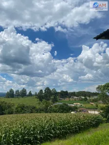 Lote/Terreno à venda, 360m² no Balsa Nova, Balsa Nova