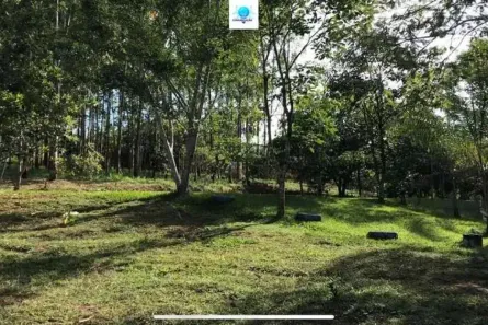Fazenda/Sítio com 3 Quartos à venda, 14000m² no Setor Central, Bela Vista de Goiás