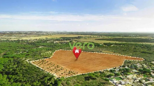 Lote/Terreno à venda, 1316m² no Recanto Vista Alegre, Americana