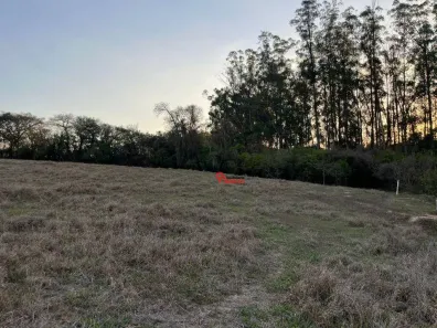 Fazenda/Sítio à venda, 60500m² no Centro, Limeira