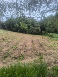 Lote/Terreno à venda, 1000m² no Centro Histórico de São Paulo, Biritiba Mirim