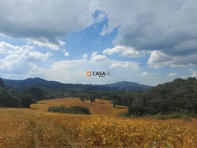 Fazenda/Sítio com 1 Quarto à venda, 180300m² no Bateias, Campo Largo