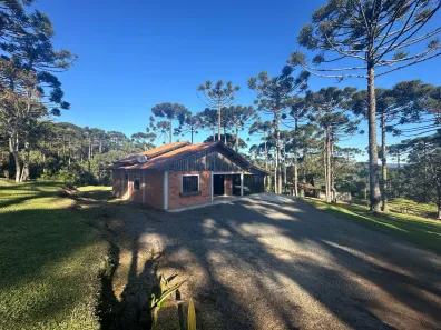 Fazenda/Sítio à venda, 4724m² no Lageado, Campo Alegre