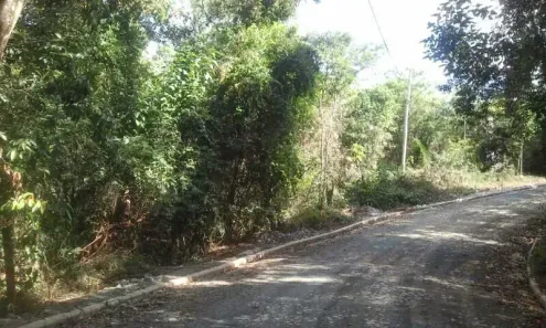 Lote/Terreno à venda, 5960m² no Jardins de Petrópolis, Nova Lima