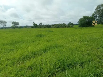 Fazenda/Sítio com 3 Quartos à venda, 2180000m² no , Mirassol D'Oeste