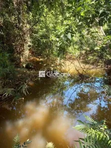 Fazenda/Sítio à venda, 5000m² no , Juramento