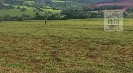 Fazenda/Sítio à venda, 3630000m² no , Sacramento