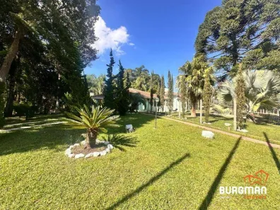 Fazenda/Sítio com 4 Quartos à venda, 220m² no Borda do Campo, São José dos Pinhais