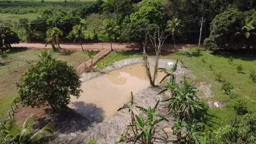 Fazenda/Sítio com 2 Quartos à venda, 5000m² no Área Rural de Cachoeiras de Macacu, Cachoeiras de Macacu