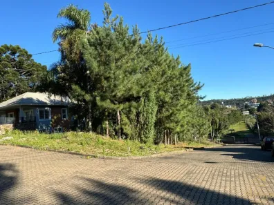 Lote/Terreno à venda, 435m² no , Nova Petrópolis