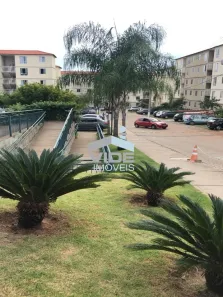 Apartamento com 2 Quartos à venda, 43m² no Parque Yolanda (Nova Veneza), Sumaré